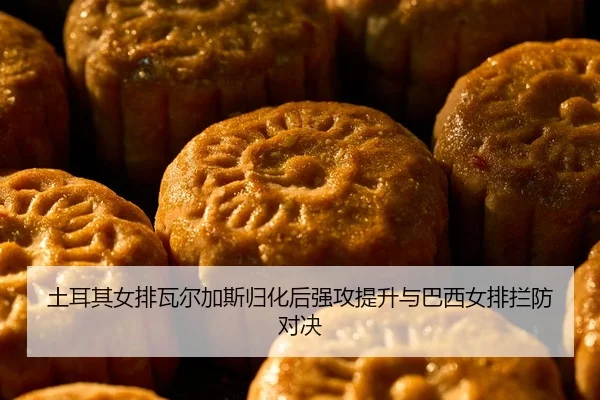土耳其女排瓦尔加斯归化后强攻提升与巴西女排拦防对决