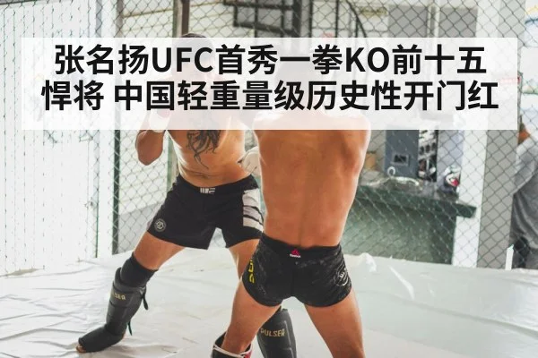 MMA knockout punch