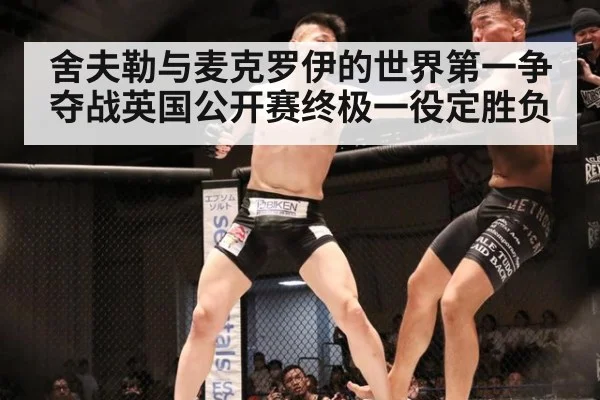 舍夫勒与麦克罗伊的世界第一争夺战英国公开赛终极一役定胜负